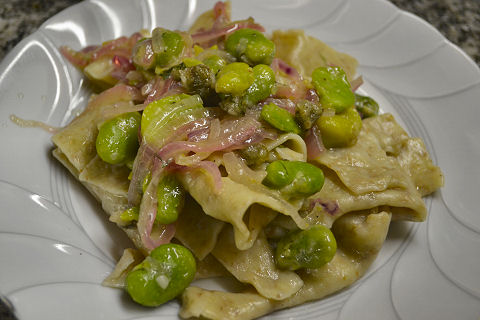 Langanelli with favas, red onions, preserved lemon oil