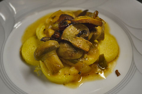 Semolina gnocchi with mushroom sugo