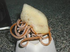 Frozen soy spaghetti with ponzu air