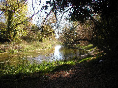 Azul - municipal park