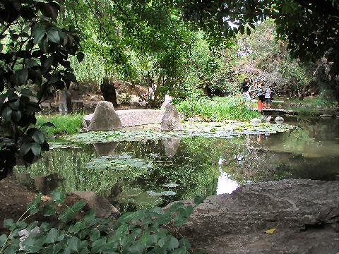 Belen - Japanese Garden