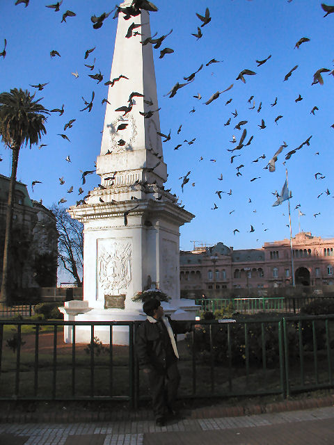 Pigeons take wing over Plaza de Mayo