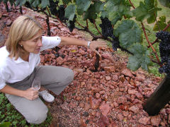 Elisa de Bouza discusses the tannat grapes