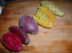 Tunas - cactus pears