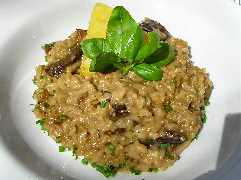 Museo Evita Restaurante mushroom risotto