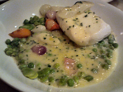 Calliope - halibut