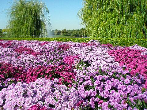 Chicago Botanic Garden