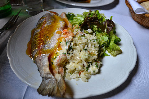 Downtown Matias - stuffed trout