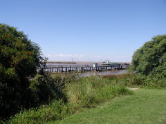 Reserva Ecologica - river view