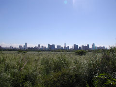 Reserva Ecologica - city skyline