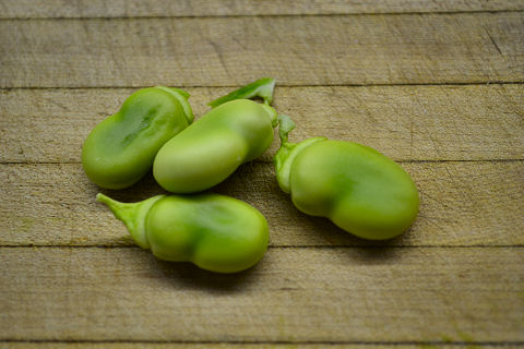 Preparing Fava Beans