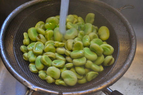 Preparing Fava Beans