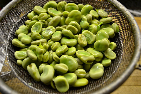 Preparing Fava Beans