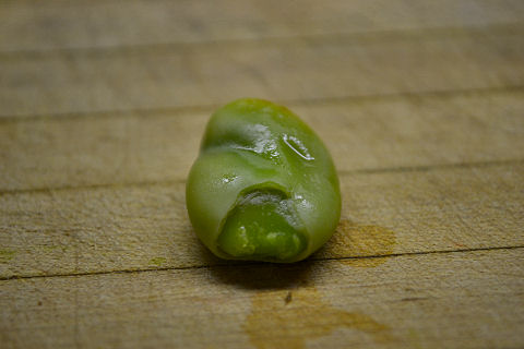 Preparing Fava Beans