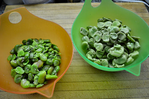 Preparing Fava Beans