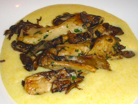 Felidia - wild mushroom polenta