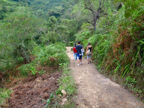 Gocta Waterfall trek