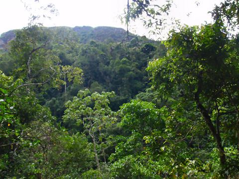 Gocta Waterfall trek