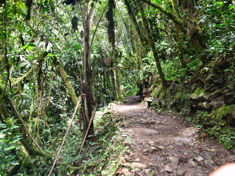 Gocta Waterfall trek