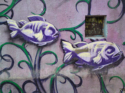 Fish graffiti