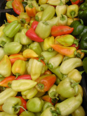 Greenmarket - hot peppers