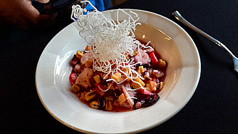 Kalma - octopus ceviche