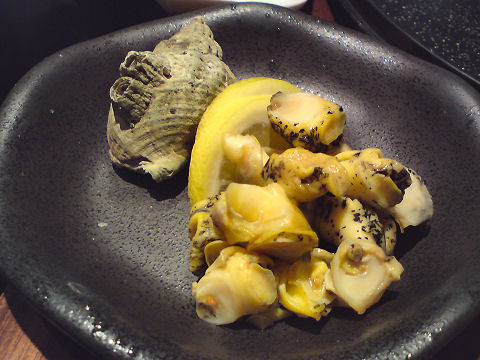 Kanoyama - baby conch