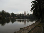 La Plata paseo del bosque