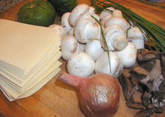 Ingredients for my chicken mushroom lasagna