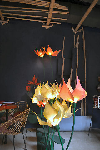 Lotus New Thai - flower lamps