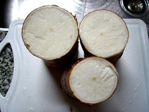 Mandioca roots - cross section