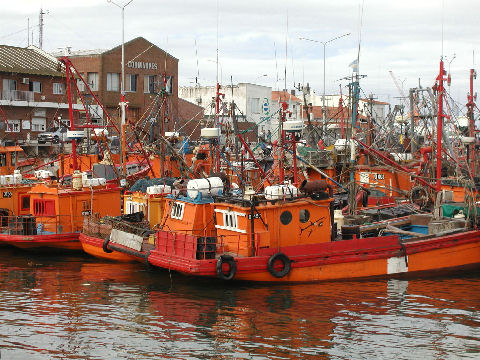 Mar del Plata - boats in the central puerto