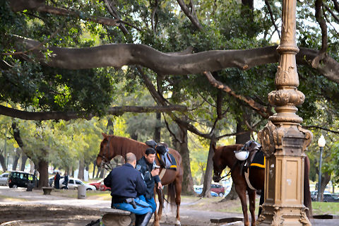 Plaza Francia mate break