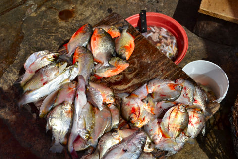 Belen Market tour