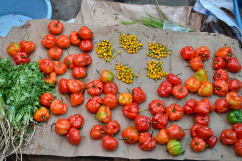 Belen Market tour