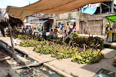 Belen Market tour