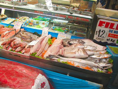 Mercado del Progreso - fish market