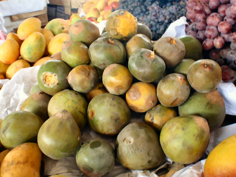 Mercado Santo Domingo