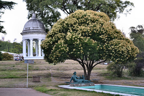 Parque Rodó