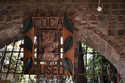 Coca Museum