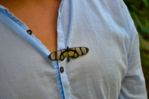 Pilpintuwasi Butterfly Farm