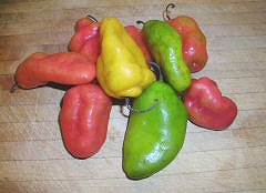 Rocoto Peppers