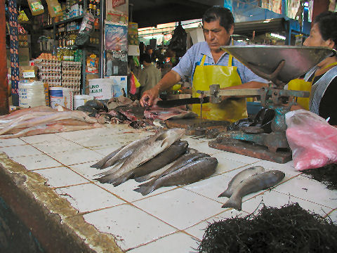 Trujillo Mercado Mayorista