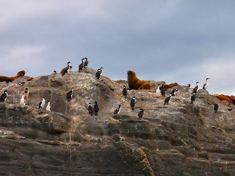 Isla de los Lobos y Pajaros