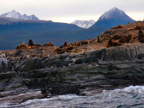 Isla de los Lobos y Pajaros