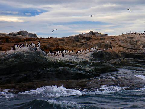 Isla de los Lobos y Pajaros