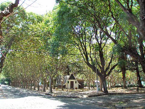 Plaza Vicente Lopez y Planes