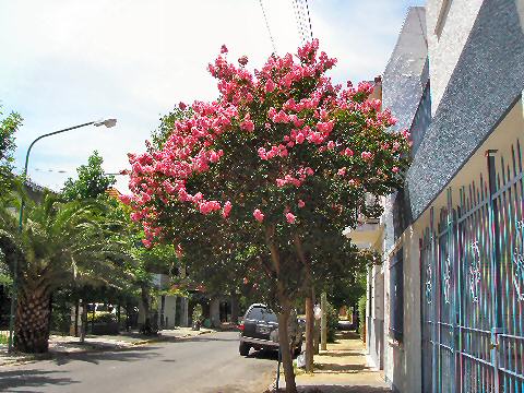 Plaza Vicente Lopez y Planes