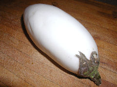 White Eggplant