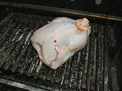 Starting the turkey on the grill